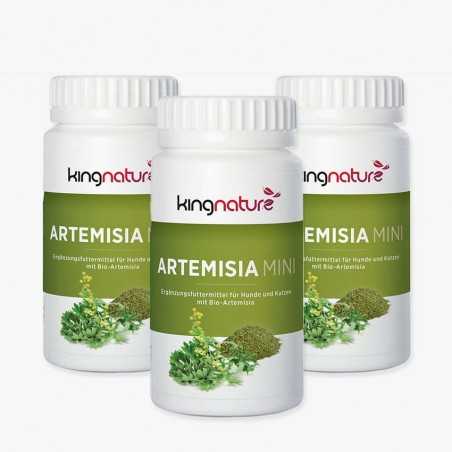 Artemisia King- Paket